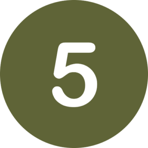 icon 5